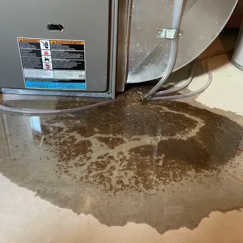 Appliance Leak Cleanup in Madison, NH